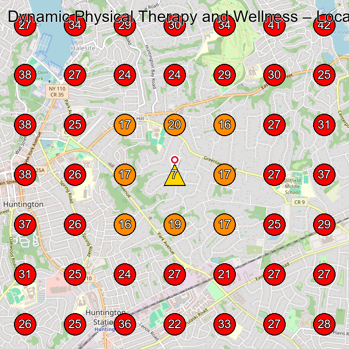 Dynamic Physical Therapy and Wellness GeoGrid visibility map for Wellness Center in Cold Spring Harbor